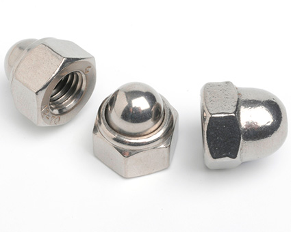 Stainless Steel Nylon Insert Domed Nuts