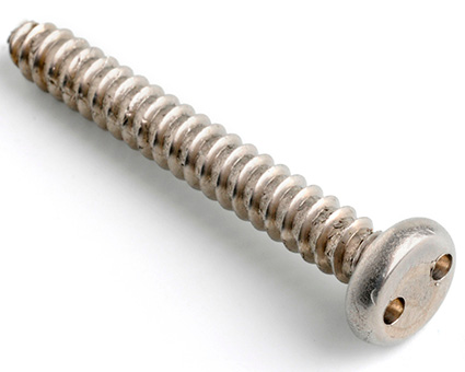 Stainless Steel 2Hole Pan Self Tapping Screws